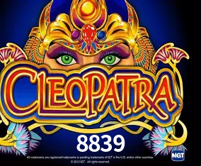 login 8839.com